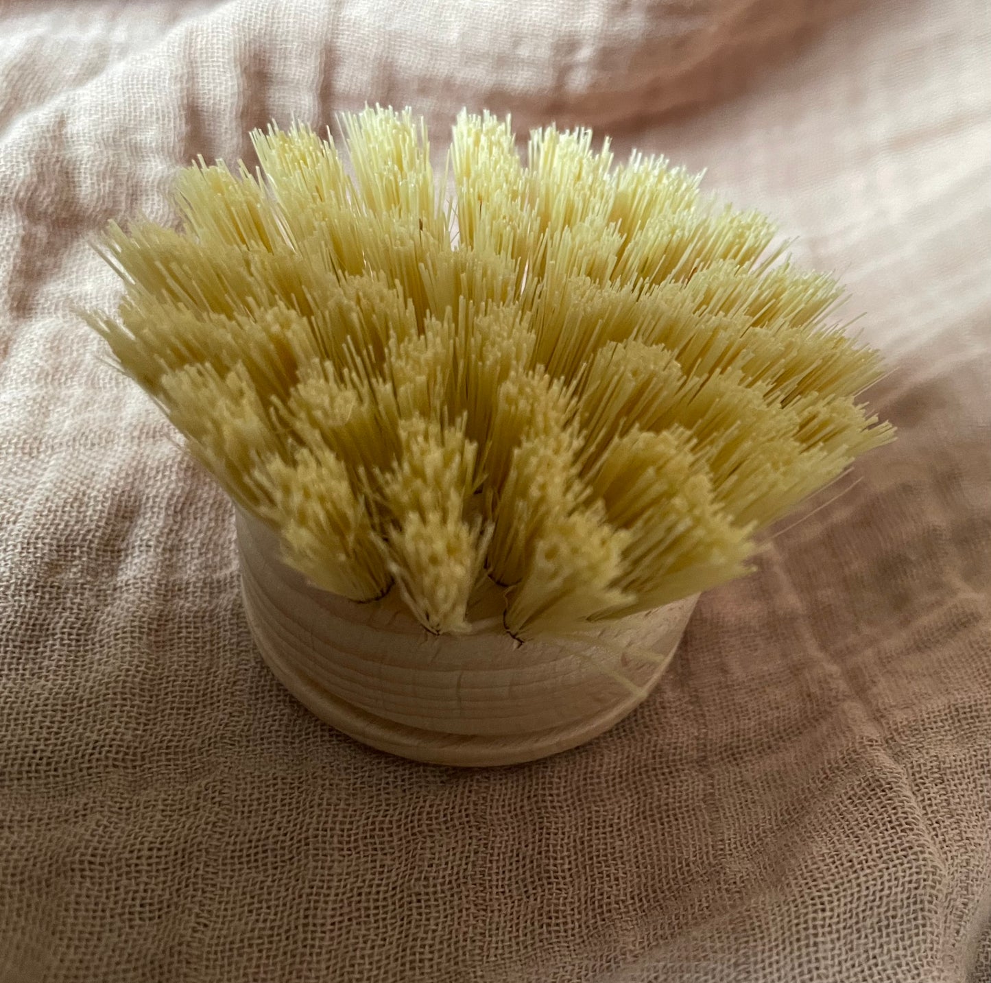 Wooden Dish Brush - Replacement Head